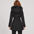 codex-lot3::black::03-back
