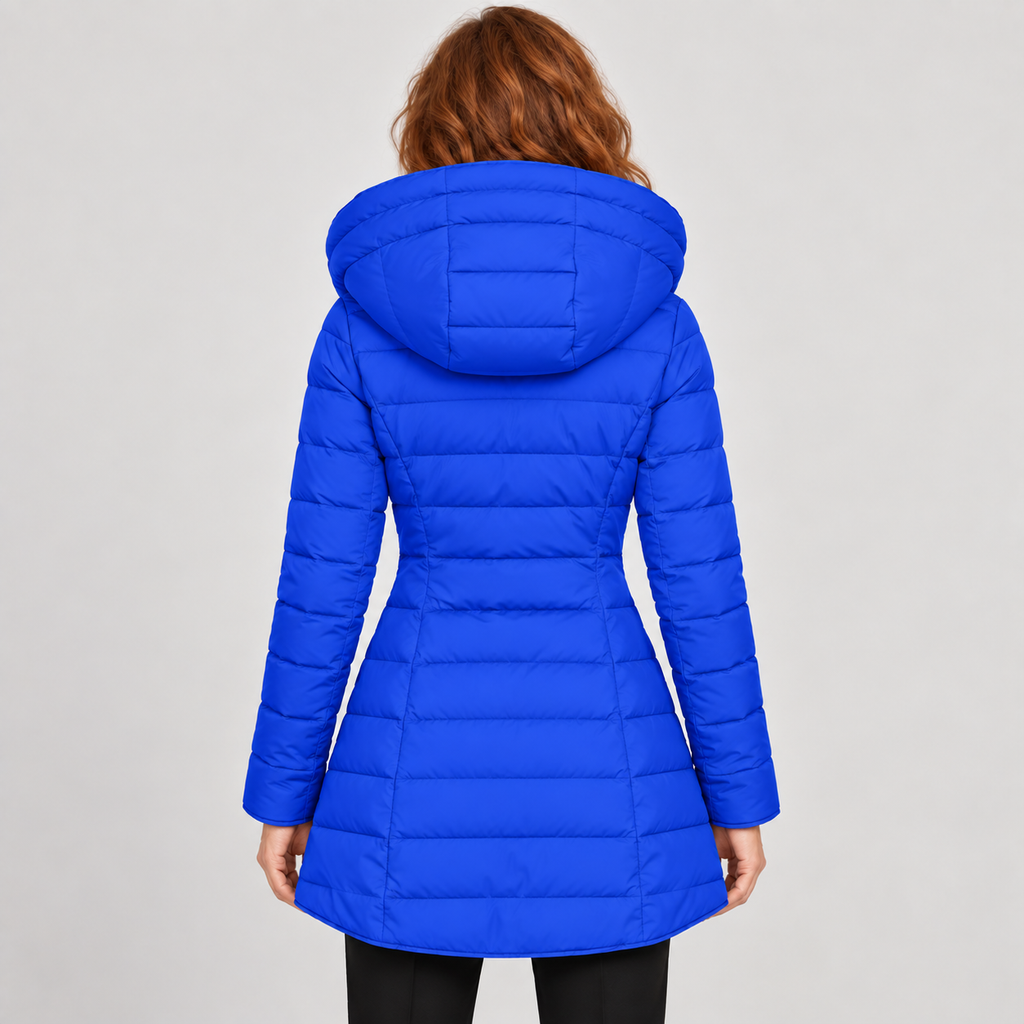 codex-lot3::blue::03-back